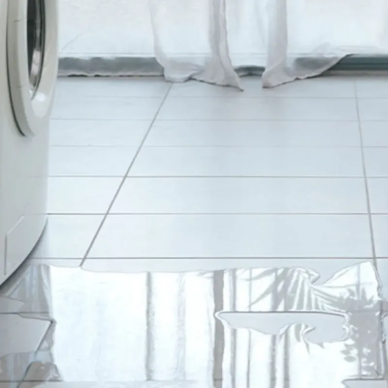 Appliance Leak Cleanup in Boulder, MT