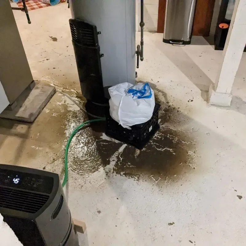 Sewage Backup Cleanup Service in Boulder, MT